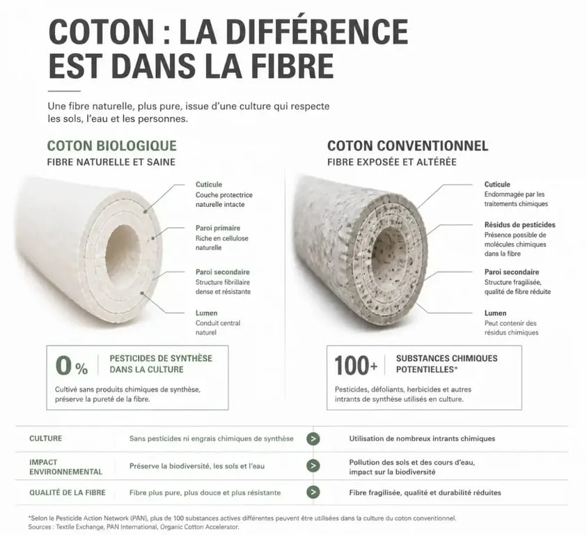 Infographie explicative des bienfaits du sweat en coton bio pour femme